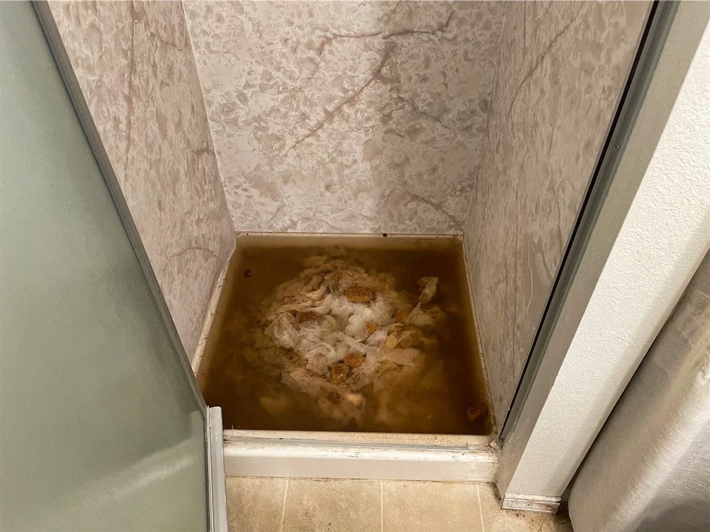 Sewage backup contamination in shower requiring professional cleanup