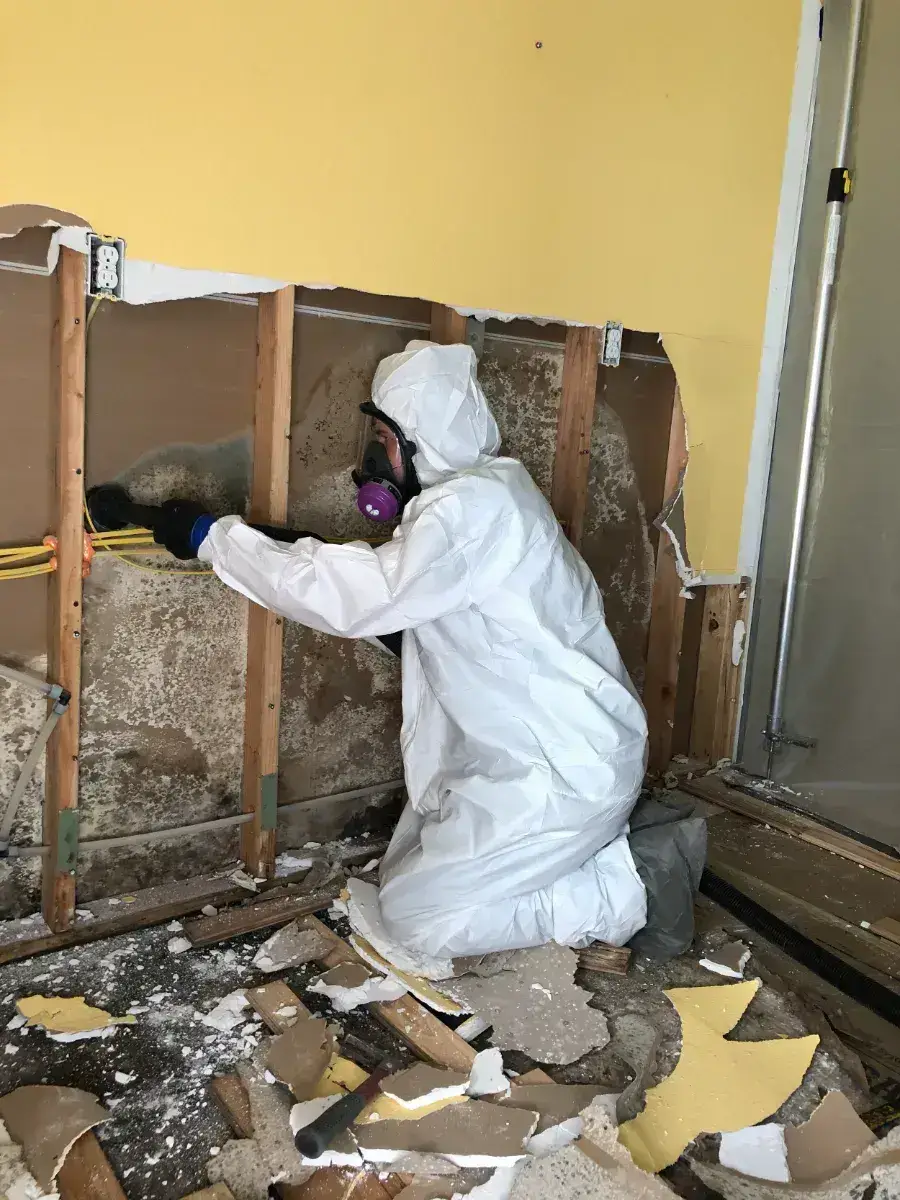 Five Star technician in full protective gear removing mold from exposed wall framing