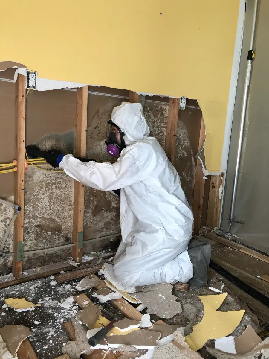 Five Star technician in full protective gear removing mold from exposed wall framing