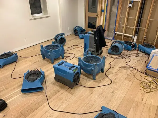 Air movers and dehumidifier drying a water-damaged room